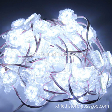 DC24V super bright 6 leds 2835 led module for outdoor sign